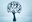 people tree