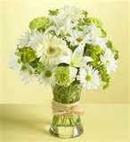 patflowers